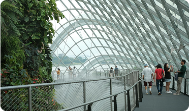 Multi-Billion Dollar Construction Program